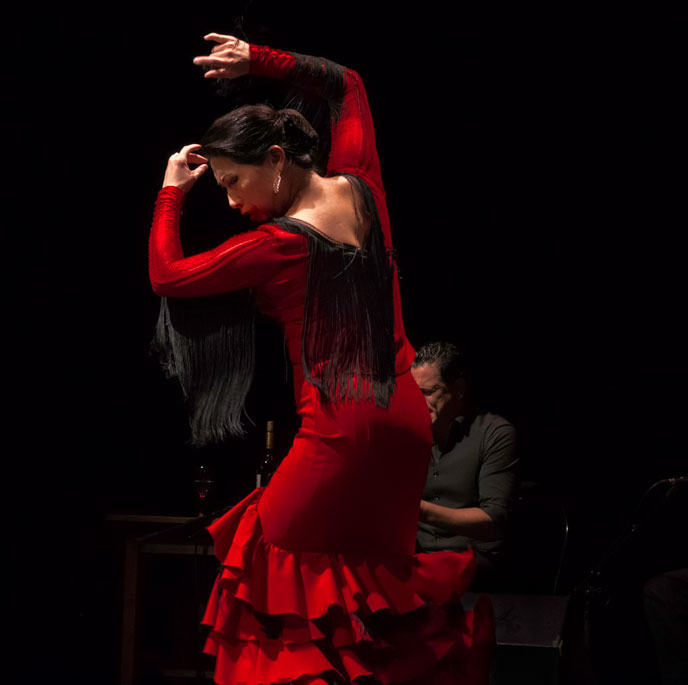 A female dance artists wearing a traditional red dress poses mid flamenco move with her arms above her head