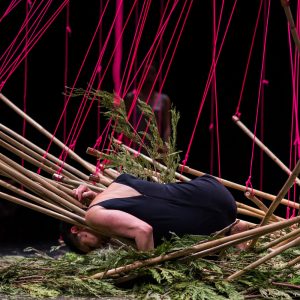 Lee Su-Feh/battery opera performs in Dance Machine. Wearing a black dress, she is leaning over the bamboo that is surrounded by cedar leaves.