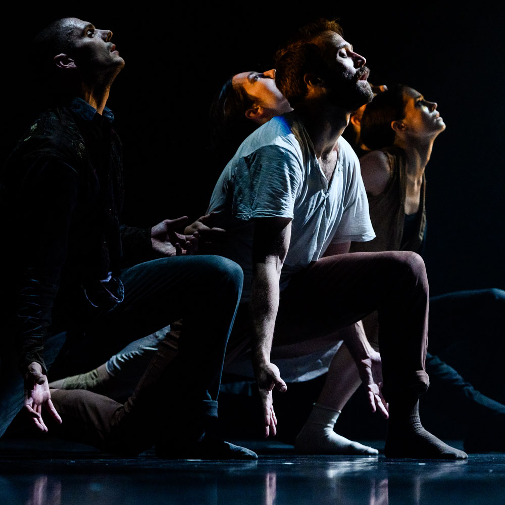 Multiple dance artists lean forward in low lunges. They are on a black stage with a bright spotlight reflecting on their faces.
