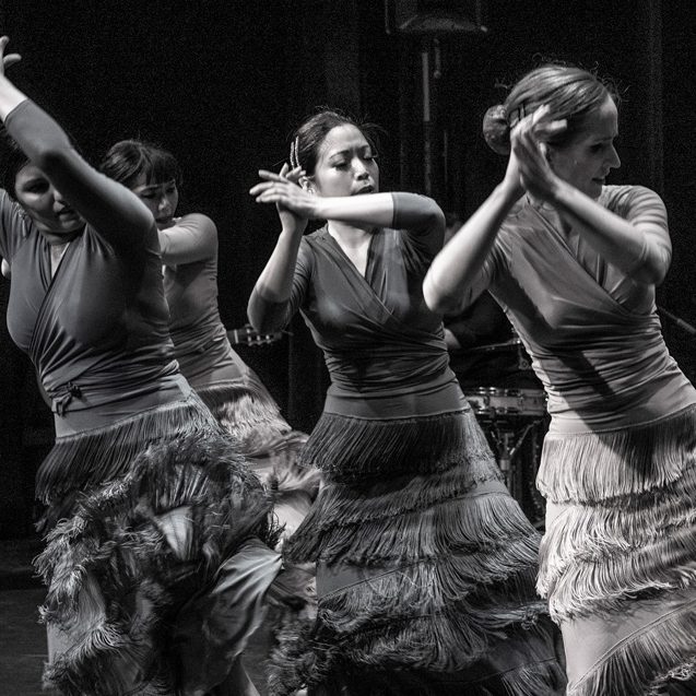 Four flamenco dancers mid performance clapping together. This image is in black and white.